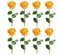 Single Yellow Roses